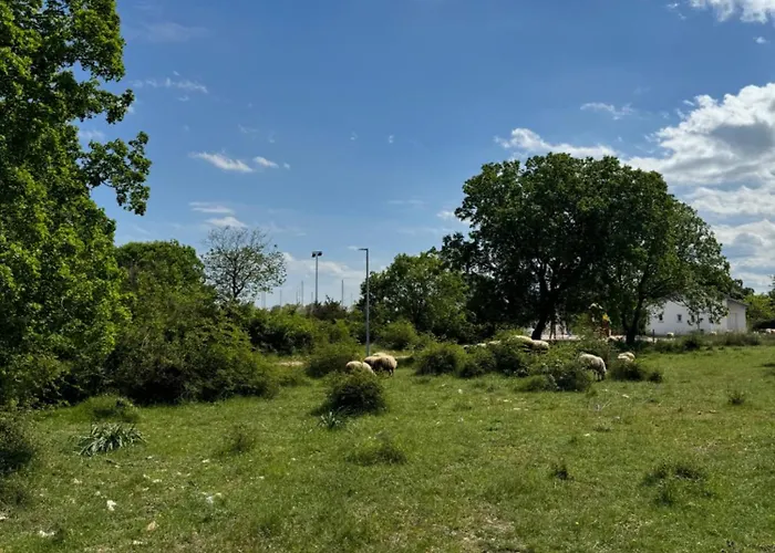 Вилла Barbie's House